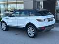 Land Rover Range Rover Evoque Range Rover Evoque I 2016 5p 2.0 td4 Pure 150cv Bianco - thumbnail 4