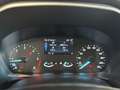 Ford Kuga 1.5 EcoBlue 120 CV 2WD Titanium Business Blu/Azzurro - thumbnail 11