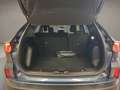 Ford Kuga 1.5 EcoBlue 120 CV 2WD Titanium Business Blu/Azzurro - thumbnail 15
