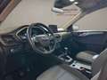 Ford Kuga 1.5 EcoBlue 120 CV 2WD Titanium Business Blu/Azzurro - thumbnail 8