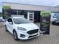 Ford Kuga 2.5 Duratec ACC+LED+Navi+SHZ+Winterp.+4xSHZ Blanco - thumbnail 6