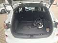 Ford Kuga 2.5 Duratec ACC+LED+Navi+SHZ+Winterp.+4xSHZ Blanc - thumbnail 19