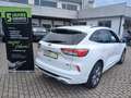 Ford Kuga 2.5 Duratec ACC+LED+Navi+SHZ+Winterp.+4xSHZ Blanc - thumbnail 7