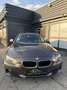 BMW 318 318d Sport Line Braun - thumbnail 8