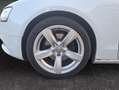 Audi A5 1.8 TFSI 175CH AMBITION LUXE MULTITRONIC BVA Blanc - thumbnail 13