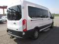 Ford Transit Custom Variobus 2,0 TDCI L3H2 340 Ambiente Ambiente Weiß - thumbnail 5