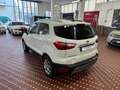 Ford EcoSport 1.0 EcoBoost 100 CV ST-Line Black Edition Wit - thumbnail 6