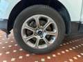 Ford EcoSport 1.0 EcoBoost 100 CV ST-Line Black Edition Wit - thumbnail 18