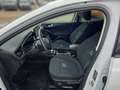 Ford Focus Turnier 1,0 EcoBoost Hybrid Active Weiß - thumbnail 10