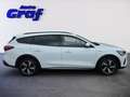 Ford Focus Turnier 1,0 EcoBoost Hybrid Active Weiß - thumbnail 3