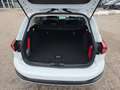 Ford Focus Turnier 1,0 EcoBoost Hybrid Active Weiß - thumbnail 9
