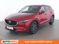 Mazda CX-5 2.2 Turbodiesel Revolution Top AWD Rot - thumbnail 1