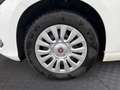 Fiat Tipo FireFly Turbo 100 Life Blanc - thumbnail 13