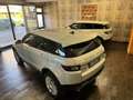 Land Rover Range Rover Evoque Evoque I 2016 5p 2.0 td4 HSE Dynamic 180cv auto Bianco - thumbnail 8