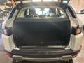Land Rover Range Rover Evoque Evoque I 2016 5p 2.0 td4 HSE Dynamic 180cv auto Bianco - thumbnail 6