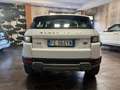 Land Rover Range Rover Evoque Evoque I 2016 5p 2.0 td4 HSE Dynamic 180cv auto Bianco - thumbnail 5