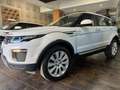 Land Rover Range Rover Evoque Evoque I 2016 5p 2.0 td4 HSE Dynamic 180cv auto Bianco - thumbnail 1