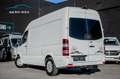 Mercedes-Benz Sprinter Kampeerwagen 2 slaappl. / CAMERA / BED Wit - thumbnail 2