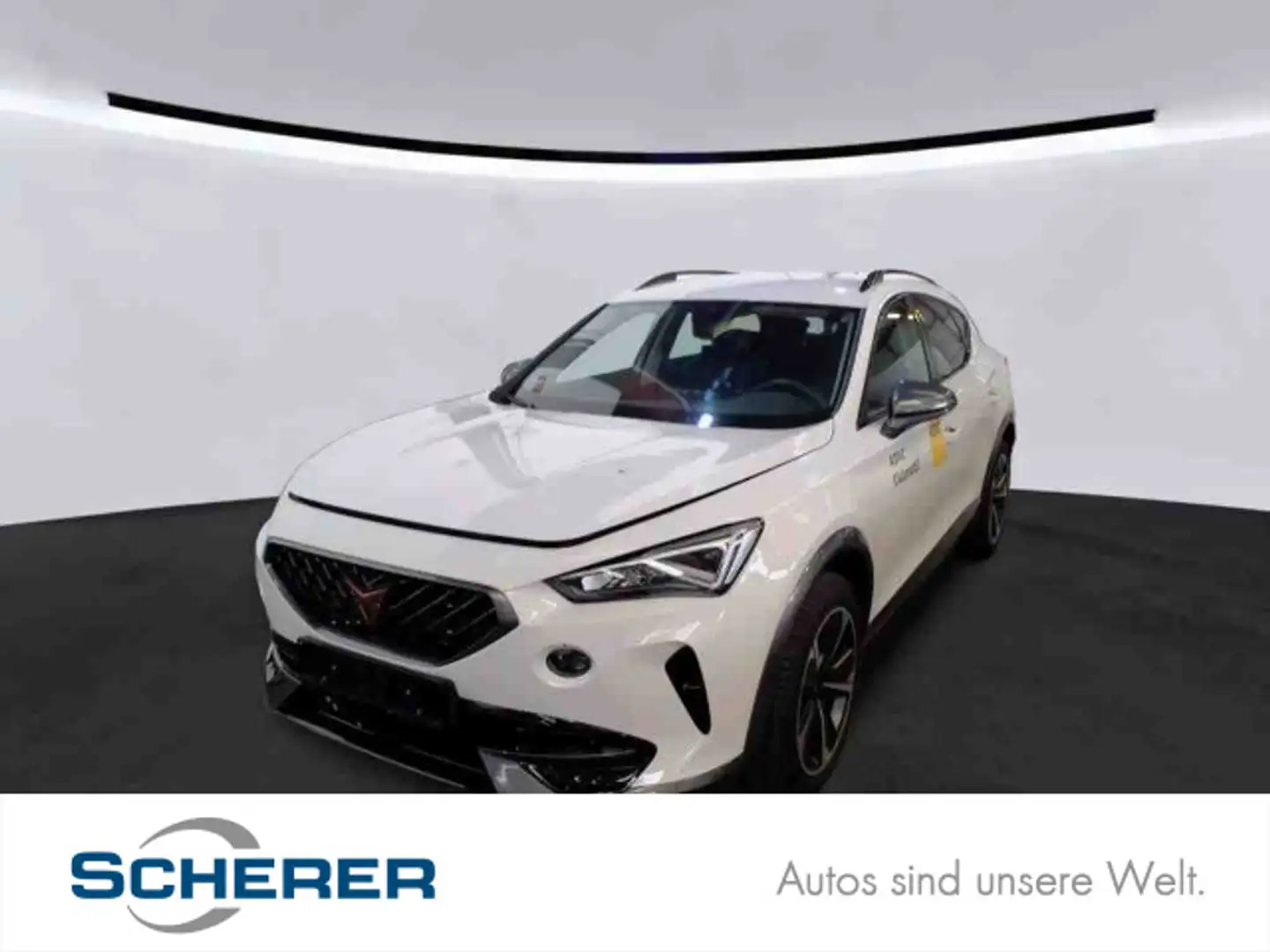 CUPRA Formentor 1,5 TSI NAVI AHK SHZ Weiß - 1
