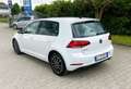 Volkswagen Golf 5p 1.6 tdi Business 115cv DSG *Privato* Wit - thumbnail 4