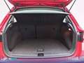 SEAT Arona 1.0 TSI 81kW (110CV) Style Plus Rojo - thumbnail 6
