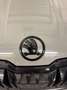 Skoda Karoq Karoq 2,0 TDI 4x4 DSG Sportline Sportline Grau - thumbnail 11