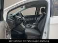 Ford Kuga Trend 1,5 Eco Boost TÜV NEU-2 Hand Blanc - thumbnail 9