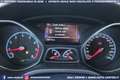 Ford Focus RS 2.3 350CV AWD Performance Pack Blau - thumbnail 14