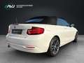 BMW 218 218 i Cabrio Advantage | Bi-Xenon | ECC - thumbnail 5
