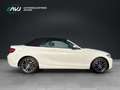 BMW 218 218 i Cabrio Advantage | Bi-Xenon | ECC - thumbnail 6
