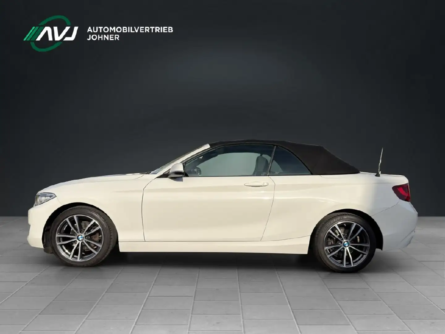 BMW 218 218 i Cabrio Advantage | Bi-Xenon | ECC - 2