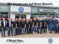 Volkswagen T-Roc Sport 1.5 TSI ACT LED Kamera Weiß - thumbnail 2