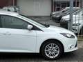 Ford Focus Wagon 1.0 EcoBoost Titanium | Trekhaak | Navigatie Blanc - thumbnail 8