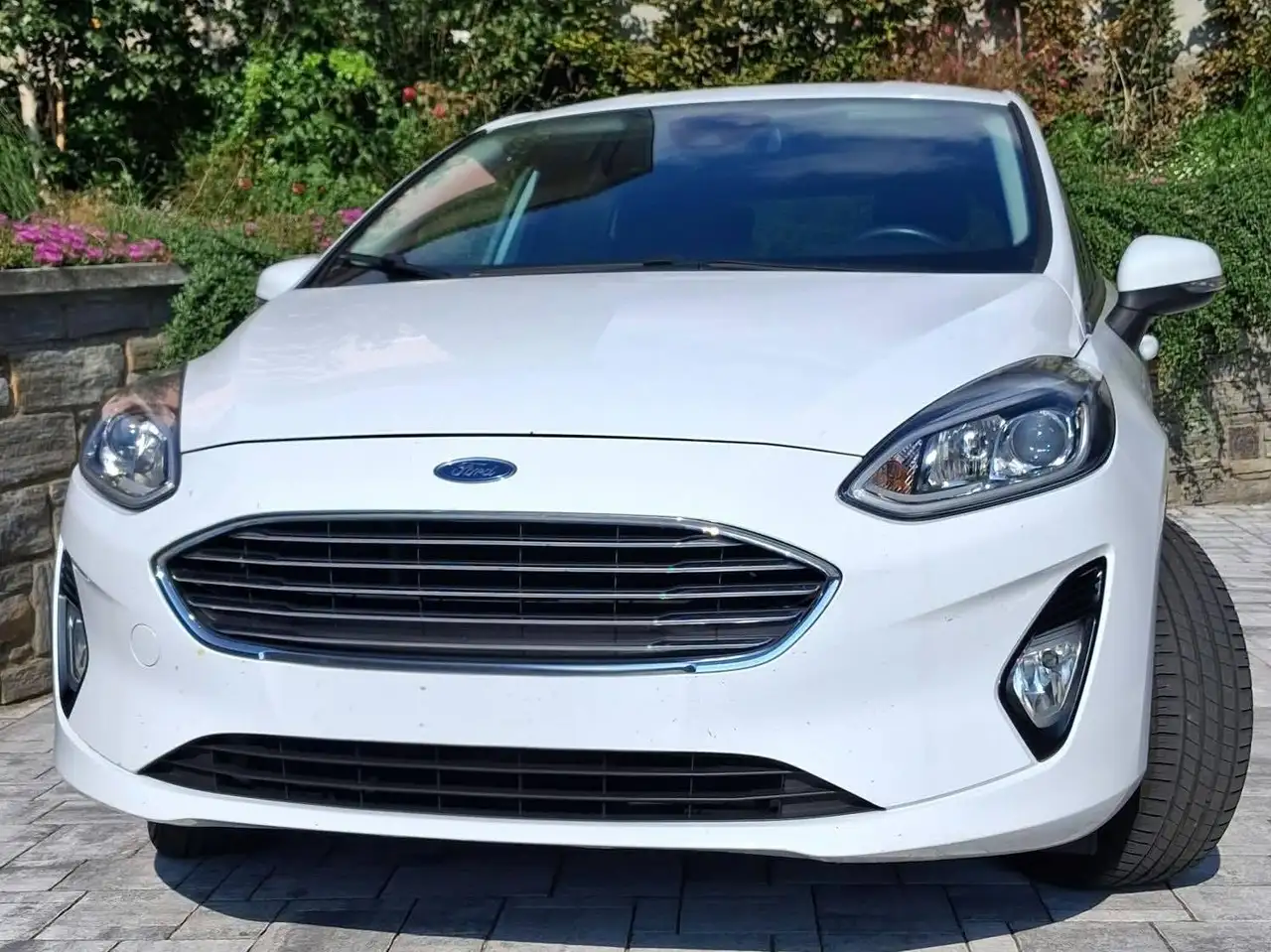 Ford Fiesta Fiesta VII 2017 5p 5p 1.1 Plus 85cv my19.5 — photo 1 of 9