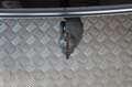 Volkswagen Passat Variant Alltrack 4M AHK StHz Navi Matrix Negro - thumbnail 21