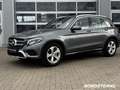 Mercedes-Benz GLC 220 GLC 220 d 4M Exclusive Navi Kamera LED Grau - thumbnail 2
