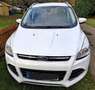 Ford Kuga Kuga 2.0 TDCi 4x4 Titanium Weiß - thumbnail 3