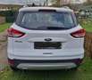 Ford Kuga Kuga 2.0 TDCi 4x4 Titanium Weiß - thumbnail 5