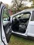 Ford Kuga Kuga 2.0 TDCi 4x4 Titanium Weiß - thumbnail 7