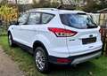 Ford Kuga Kuga 2.0 TDCi 4x4 Titanium Weiß - thumbnail 6