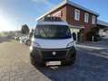 Fiat Ducato 35 2.3Mtj L3H2 FRIGO ATP FNAX ISOTERMICO Bianco - thumbnail 2