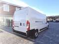 Fiat Ducato 35 2.3Mtj L3H2 FRIGO ATP FNAX ISOTERMICO Blanc - thumbnail 11