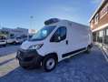 Fiat Ducato 35 2.3Mtj L3H2 FRIGO ATP FNAX ISOTERMICO Bianco - thumbnail 3