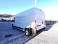 Fiat Ducato 35 2.3Mtj L3H2 FRIGO ATP FNAX ISOTERMICO Blanc - thumbnail 16