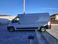 Fiat Ducato 35 2.3Mtj L3H2 FRIGO ATP FNAX ISOTERMICO Blanc - thumbnail 6