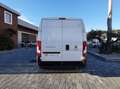 Fiat Ducato 35 2.3Mtj L3H2 FRIGO ATP FNAX ISOTERMICO Weiß - thumbnail 10