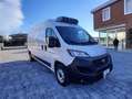 Fiat Ducato 35 2.3Mtj L3H2 FRIGO ATP FNAX ISOTERMICO Wit - thumbnail 4