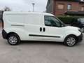 Fiat Doblo SX Maxi Professional Kasten 1 J. GARANTIE White - thumbnail 4