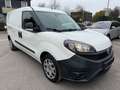 Fiat Doblo SX Maxi Professional Kasten 1 J. GARANTIE White - thumbnail 3