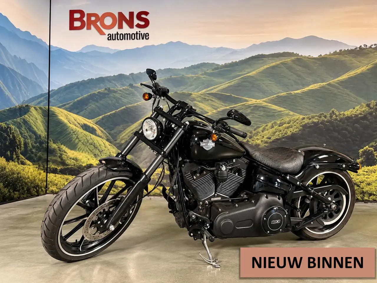 Harley-Davidson Softail